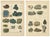 Blue Kenngott, Mineralogy Chromolithographs, Azurite, Malachite, Meteorites, 1888, Paper For Sale - Image 8 of 9