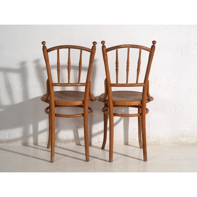 Antique Bentwood Chairs, Central Europe, 1900s, Set of 4 For Sale - Image 6 of 13