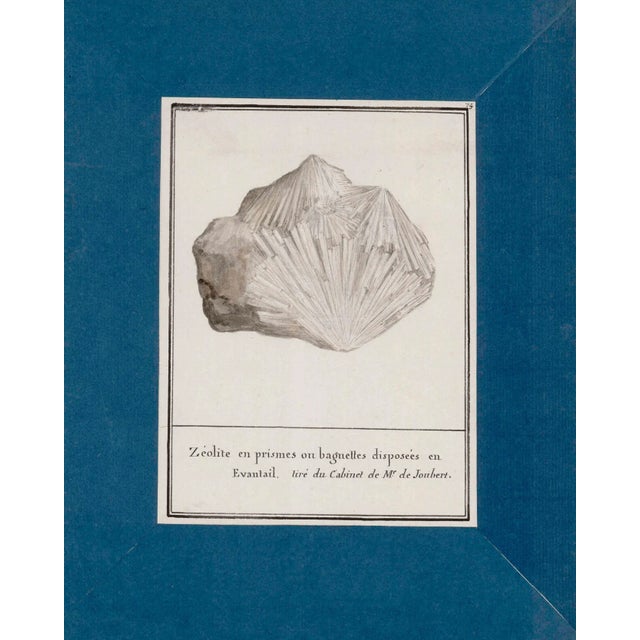 Reproduction Antique Mineral Specimen Folio Prints | Set of 9 | 16" X 20" For Sale - Image 10 of 10