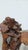 Contemporary Carved Burl Wood Pedestal Plant Sculpture Stand / Coffee Table For Sale - Image 3 of 7