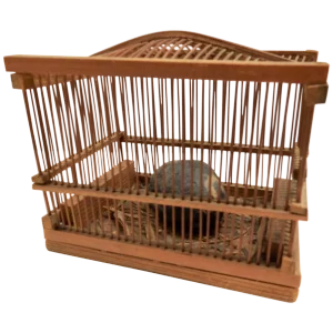 Early Chinese Lucky Cricket Cage