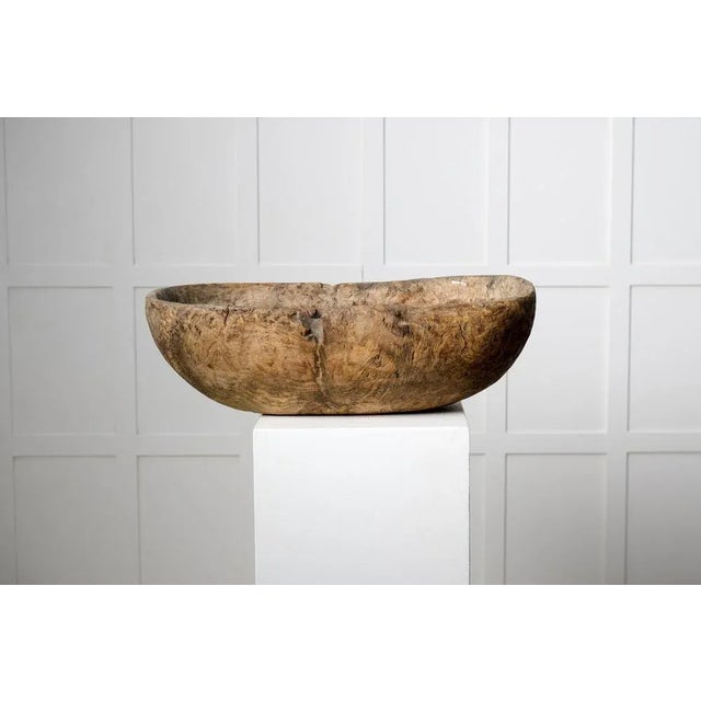 Antique Swedish Handmade Birch Root Bowl, 18th Century For Sale - Image 3 of 8