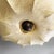 Italian Modern Cocoon Chandelier Nuvola by Tobia Scarpa for Flos, 1970s For Sale - Image 6 of 14
