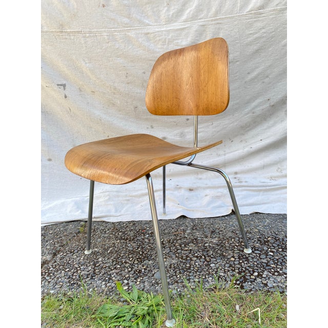 Eames Attributed Charles & Ray Eames for Herman Miller DCM Dining Chair, 1950s–1960s, Molded Birch Plywood For Sale - Image 4 of 12
