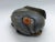Mid 20th Century Vintage Agate Pebble With Carving of Liu Hai and Golden Coins For Sale - Image 5 of 11