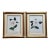 "Camellia Japonica" Botanical Prints-Custom Gold Leaf Frames-Set 2 For Sale