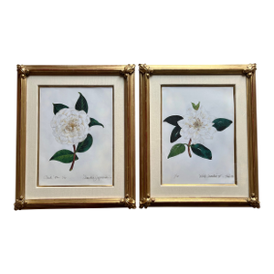 "Camellia Japonica" Botanical Prints-Custom Gold Leaf Frames-Set 2