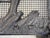 John B. Mortensen Western Motif Fireplace Screen/Fireguard For Sale - Image 12 of 13