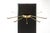 Swivel coat rack in black lacquered wood and brass.
