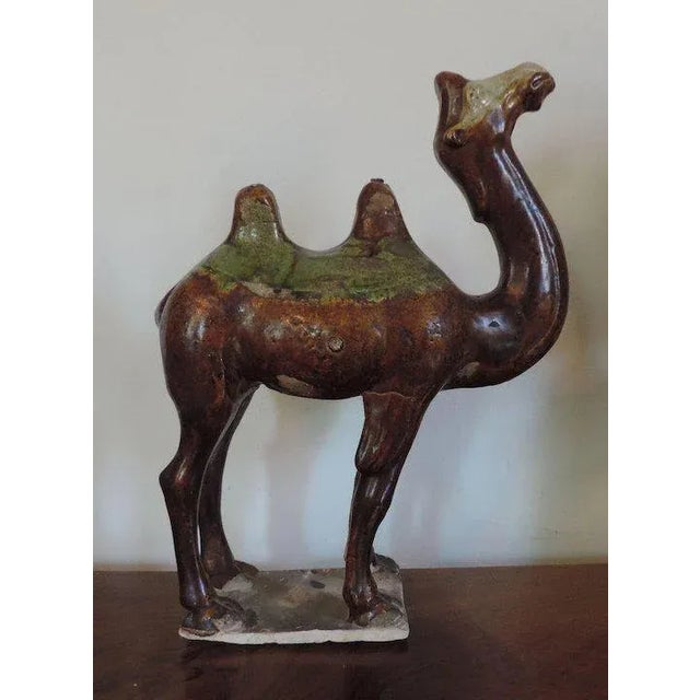 Chinese Tang Pottery Model of a Camel For Sale - Image 4 of 11