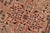 1990s Shabby Chic 1990's Pak-Persian Tan/Green Wool Rug - 8'3'' X 10'3'' For Sale - Image 5 of 9