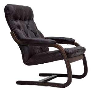 Scandinavian Lounge Chair in Brown Leather and Bentwood, 1970s