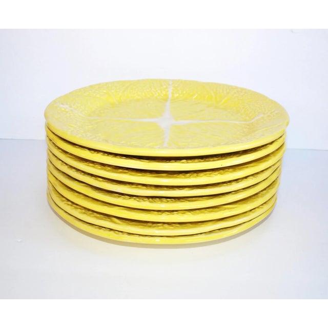 Secla Portugal Yellow Cabbage set of 8 dinner plates. Leaf design with white stripe. Measures 11” diameter. Condition...