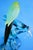 20th Century Sculpture of Parrot on Branch in Opaline Murano Glass attributed to Seguso Glassworks, Set of 2 For Sale - Image 16 of 18