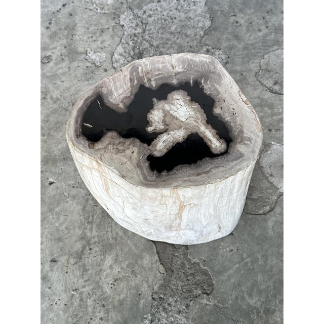 Contemporary Side Table in Petrified Wood For Sale - Image 3 of 18