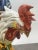 Emerald Vintage Hand-Painted Italian Majolica Ceramic Fighting Rooster Sculpture, a Pair 1980's For Sale - Image 8 of 15