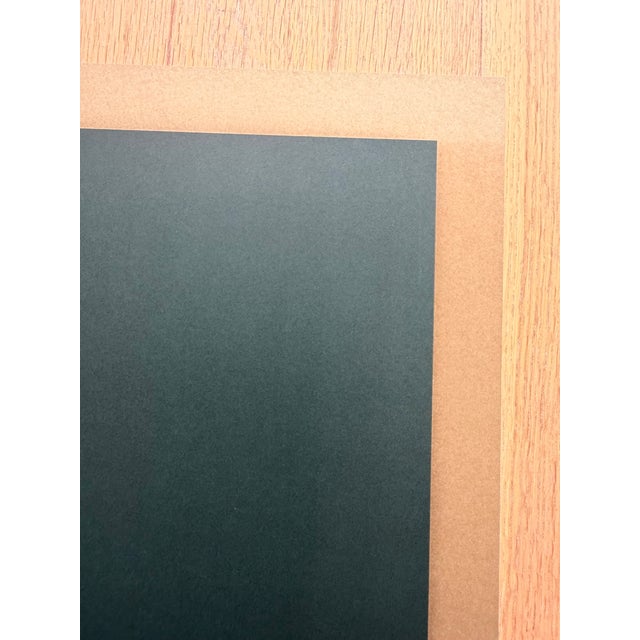 Barbara Bloom, the Reign of Narcissism, 1990, Württembergischer Kunstverein Stuttgart, Original Exhibition Poster, Printed in Germany For Sale - Image 6 of 12