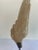 Wood Distressed Neoclassical Wood Carved Wings on Iron Bases, Italy, 1900s For Sale - Image 7 of 8