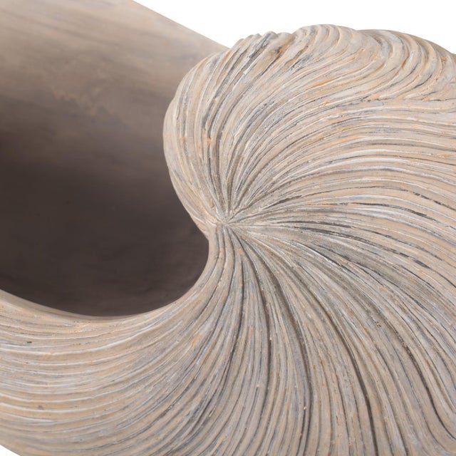 Nautilus Shell For Sale In Chicago - Image 6 of 11