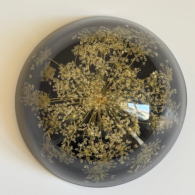 Plastic Vintage Botanical Resin Paperweight With Pressed Queen Anne's Lace For Sale - Image 7 of 17