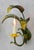 Gorgeous Italian hand-painted toleware botanical-themed wall light sconces. Glossy palm leaf foliage surrounding a...