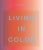 Living in Color: Color in Contemporary Interior Design For Sale