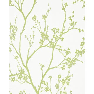 Sample - Schumacher Twiggy Paperweave Wallpaper in Leaf For Sale