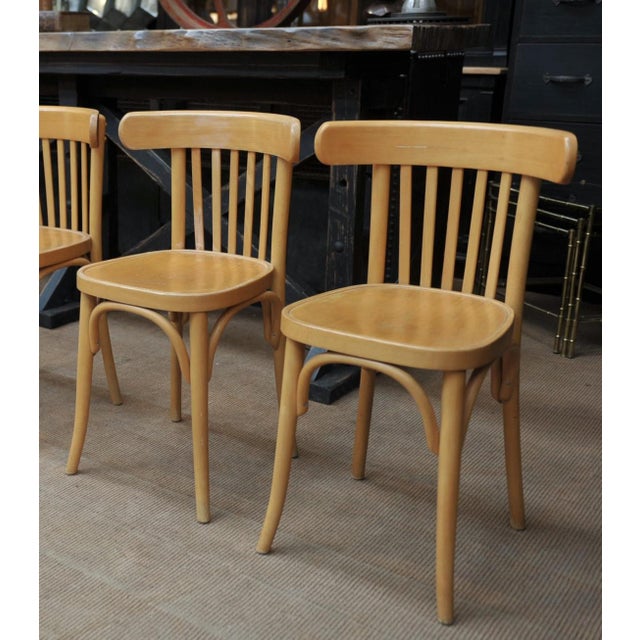 Mid-Century Modern Bistro Chair in Bent Beech, 1950s For Sale - Image 3 of 13