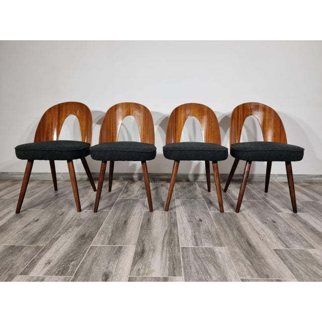 Dining Chairs by Antonin Suman, 1960s, Set of 4 For Sale - Image 10 of 11