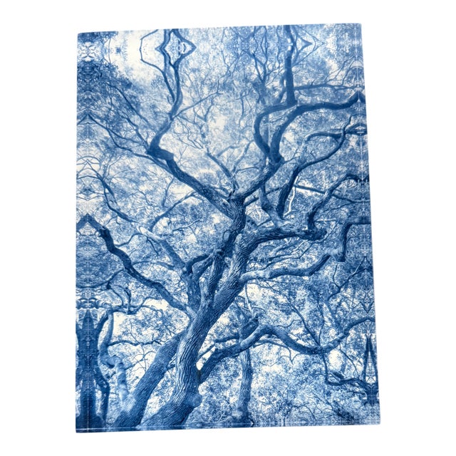 Grand Canopy, in Cyan by Paula McIntosh for PJM Photo, Acrylic Block Photograph For Sale