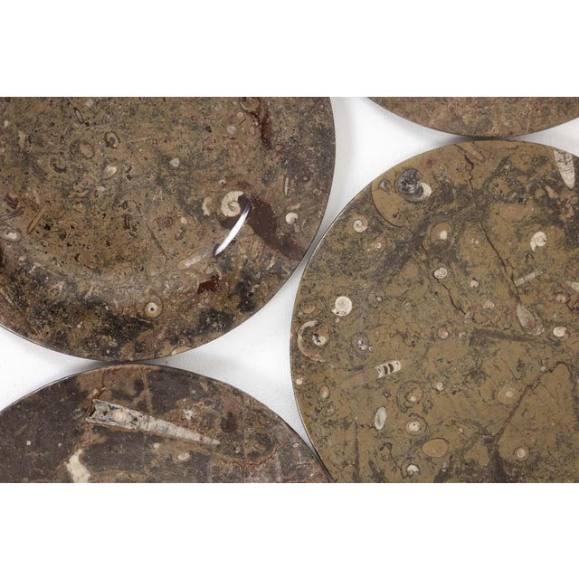 Marble Plates with Fossil Inclusions, Set of 7 For Sale - Image 4 of 8