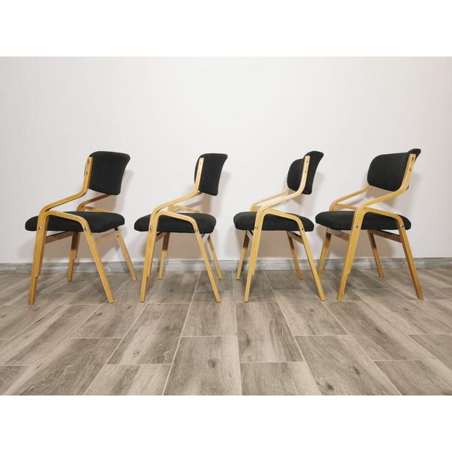 Vintage Chairs by Ludvik Volak, 1960s, Set of 4, in Restored conditions. Designed 1960 to 1969