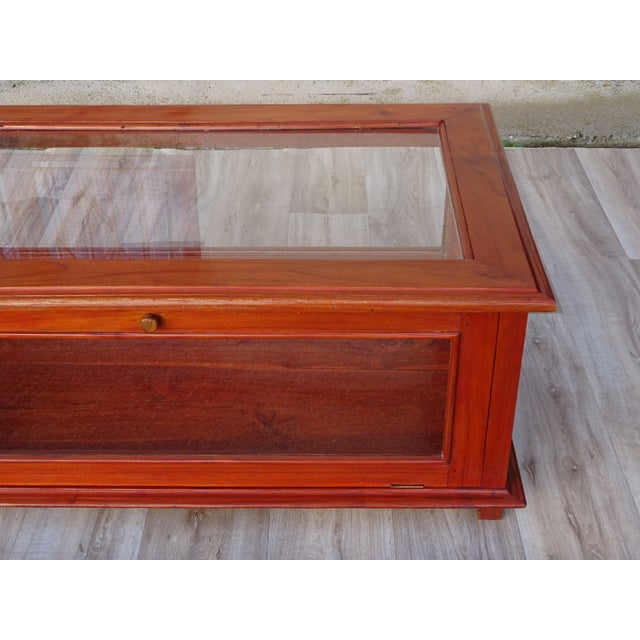 Display Cabinet with Exotic Wood Structure For Sale - Image 5 of 17