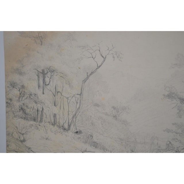Black French School of the 20th Century. Pencil Drawing “tree Landscape” For Sale - Image 8 of 10