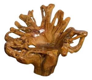 Rustic Vintage Chinese Camphor Wood Tree Root Armchair with Light Varnish
