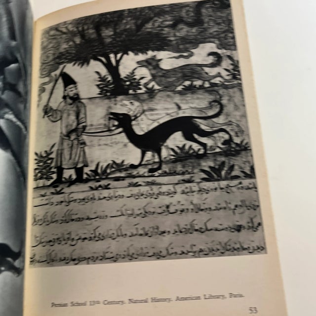Paper 1950s the Dog in Nature, History and Art Book For Sale - Image 7 of 12