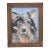 Charming Folk Art Doggie Dog Puppy Oil Painting Including the Brown Wood Frame For Sale