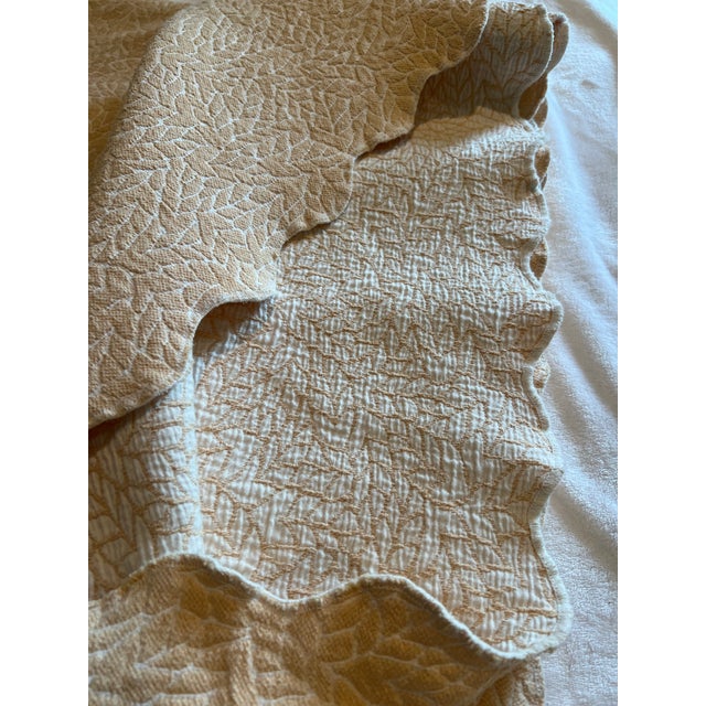Portuguese Colchas Domingos Heavyweight Cotton Matelassé Oversized Queen Coverlet | Soft Buttercream For Sale In New York - Image 6 of 13