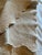 Portuguese Colchas Domingos Heavyweight Cotton Matelassé Oversized Queen Coverlet | Soft Buttercream For Sale In New York - Image 6 of 13