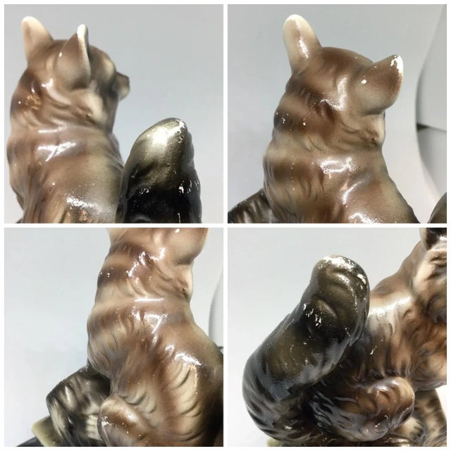 Antique Bisque Porcelain Raccoon Figurine For Sale - Image 12 of 13