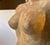 1950s Vintage Italian Terracotta Sculpture of Voluptuous Nude Female Torso, 1950s For Sale - Image 5 of 18