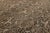 Antique Bakhtiari Rug With Intricate All-Over Scroll & Medallion Pattern For Sale - Image 9 of 12