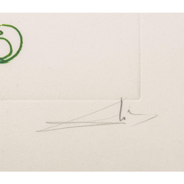 Paper Salvador Dali "Tiger Lily (Mustache)" Etching 1972 For Sale - Image 7 of 11