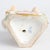 Napoleon III Porcelain Sculpture from Meissen, 19th Century For Sale - Image 5 of 6