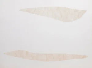Night Wood R, C. Meyers Intaglio, Signed and Numbered in Pencil