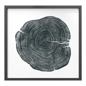 Stump 1 - Variation 1 by Trinette + Chris Print with Black Frame - 48 X 48
