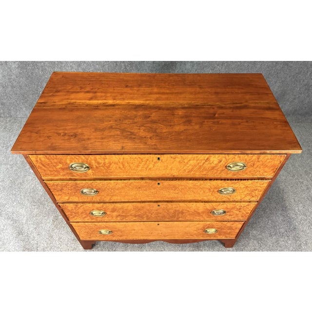 19th Century 19th Century Burled Walnut and Cherry Four Drawer Chest For Sale - Image 5 of 13