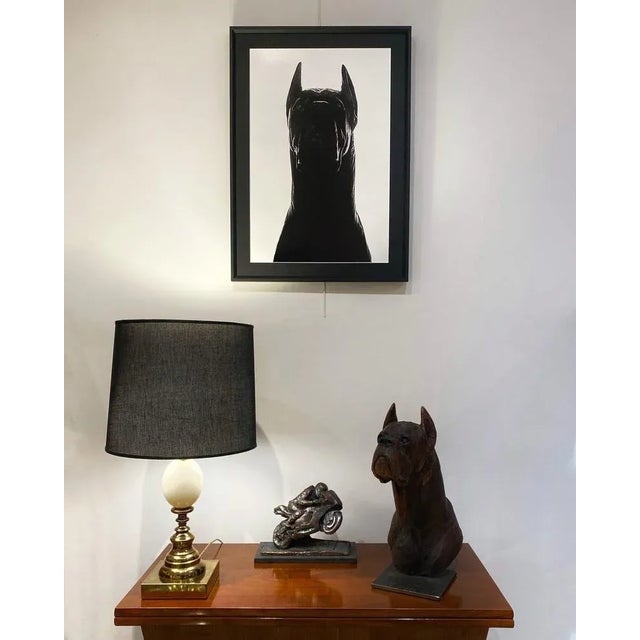 Carlotta Ginevra Volpini (Bologna, 1982) Black and white photography cm. 75 x 50, Premium Fine Art print, inspired by the...