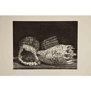 Armando Buratti, Three Shells, Etching, 1966 For Sale