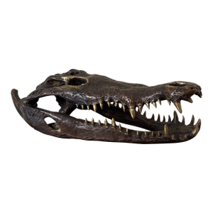 Vintage 1970s Bronze Crocodile Skull Sculpture
